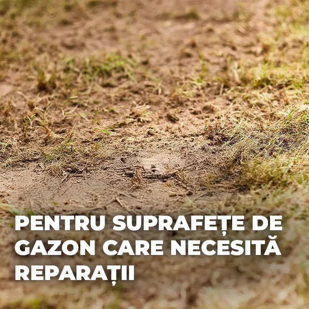 Seminte gazon Compo Turbo regenerare rapida 2.6 kg pentru 130 mp cu germinare sigura si rapida