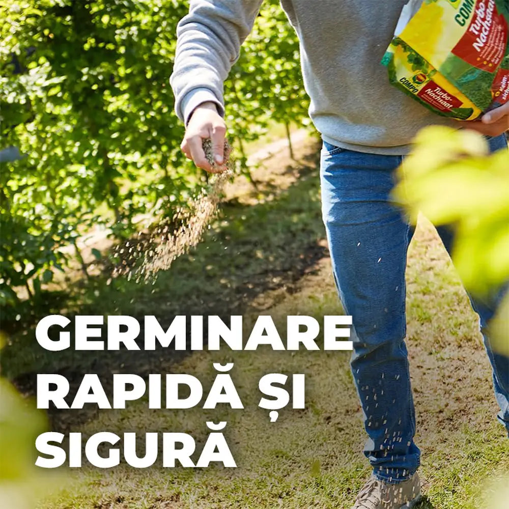 Seminte gazon Compo Turbo regenerare rapida 2.6 kg pentru 130 mp cu germinare sigura si rapida