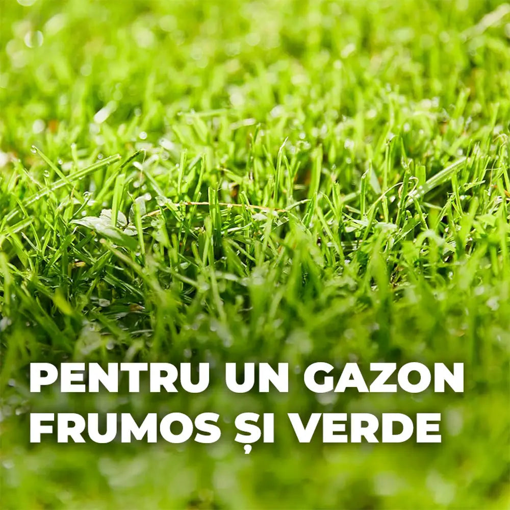 Seminte gazon Compo Turbo regenerare rapida 2.6 kg pentru 130 mp cu germinare sigura si rapida