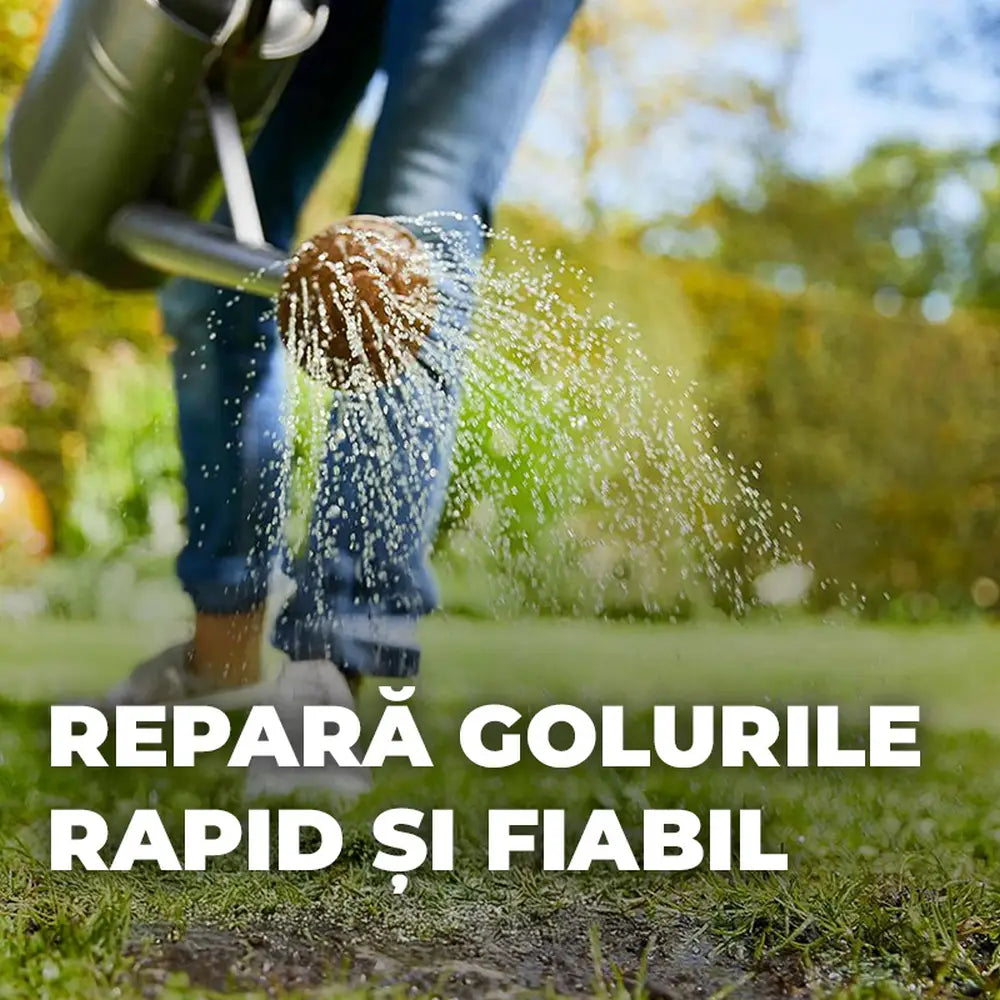 Compo seminte regenerare gazon cu accelerare germinare, 2 kg pentru 100 mp