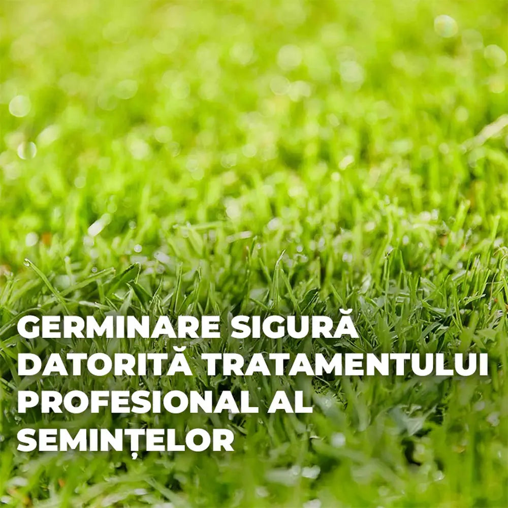 Compo seminte regenerare gazon cu accelerare germinare, 2 kg pentru 100 mp