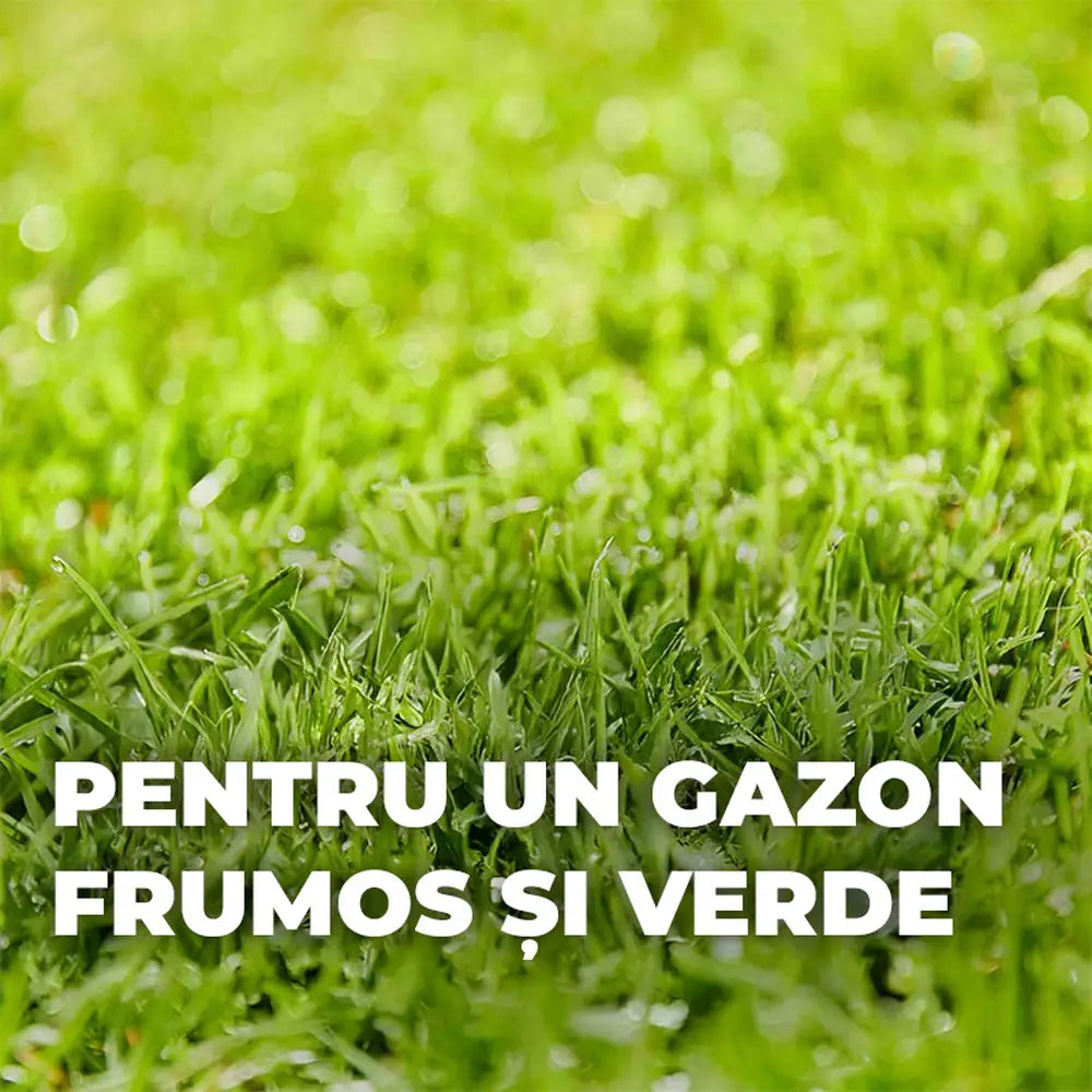 Compo turbo reseeding seminte gazon regenerare rapida 1 kg pentru 50 mp, amestec premium cu germinare rapida si siguranta ridicata