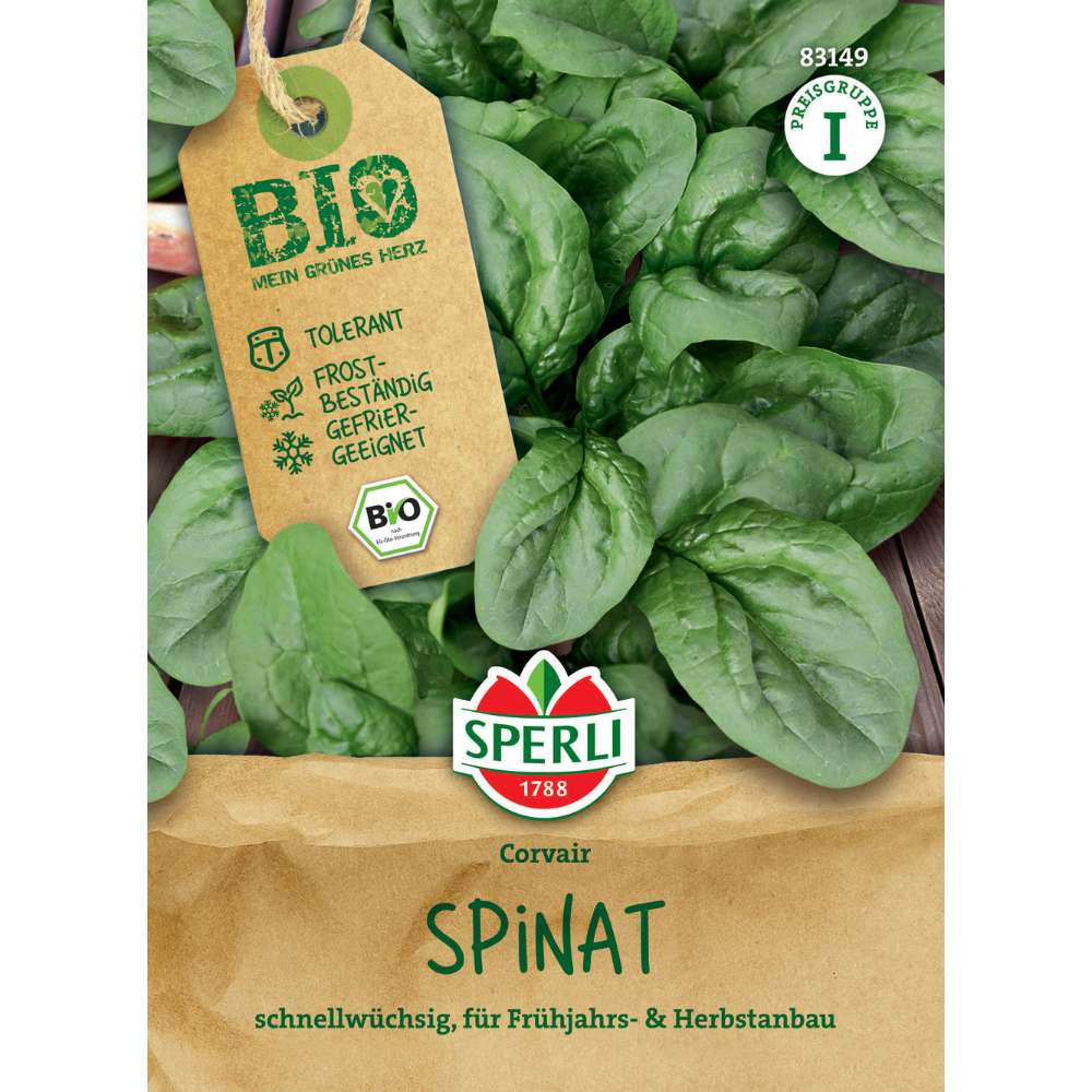 Seminte BIO spanac F1 – productie rapida si frunze fragede