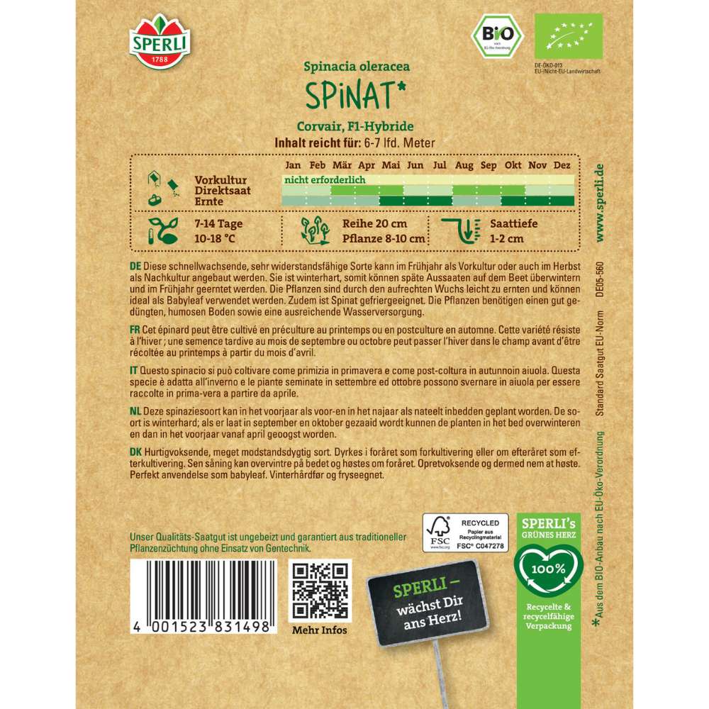 Seminte BIO spanac F1 – productie rapida si frunze fragede