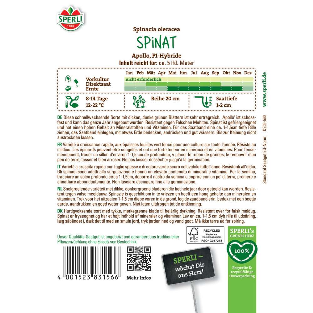 Seminte spanac Apollo F1 cu banda – semanare usoara, frunze verzi inchis, 5 m