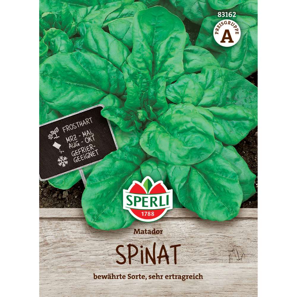Seminte spanac Matador – soi clasic, rezistent si gustos