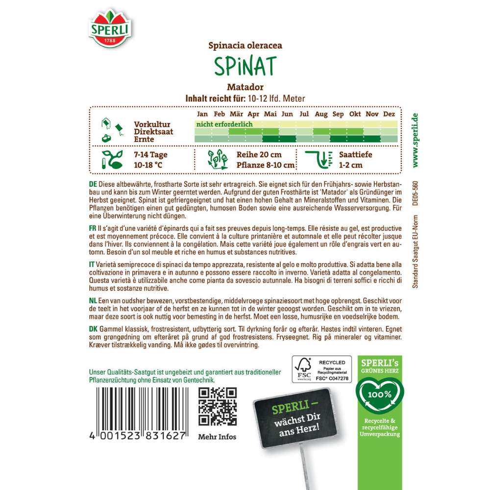 Seminte spanac Matador – soi clasic, rezistent si gustos