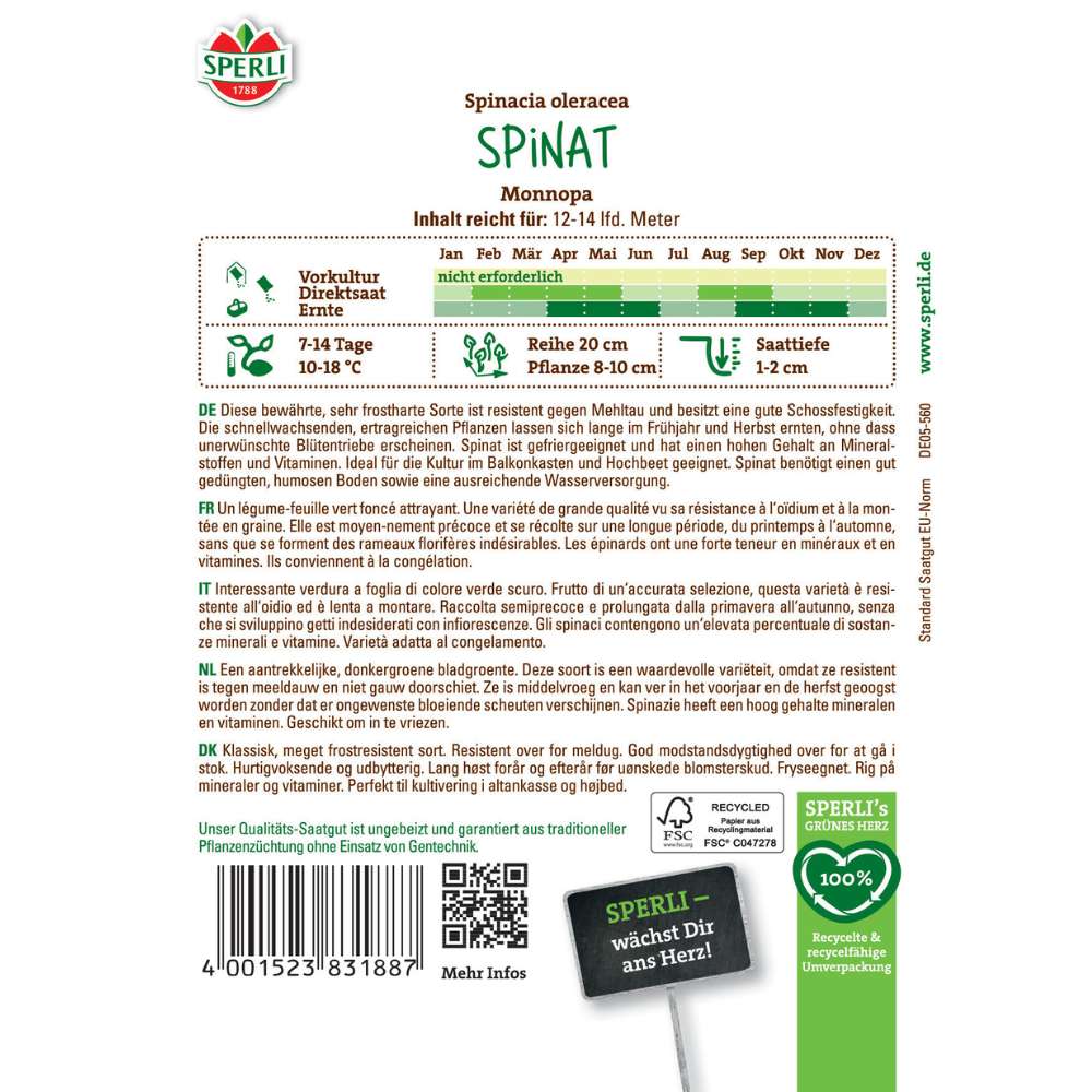 Seminte spanac Monnopa – varietate robusta pentru toamna