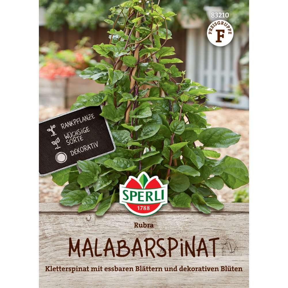 Seminte spanac malabar Rubra – planta agatatoare cu frunze comestibile