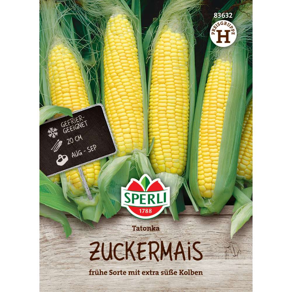 Seminte porumb zaharat Tatonka F1 – boabe dulci si suculente