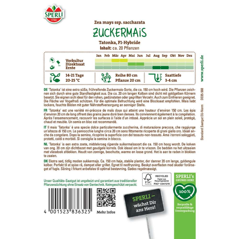 Seminte porumb zaharat Tatonka F1 – boabe dulci si suculente