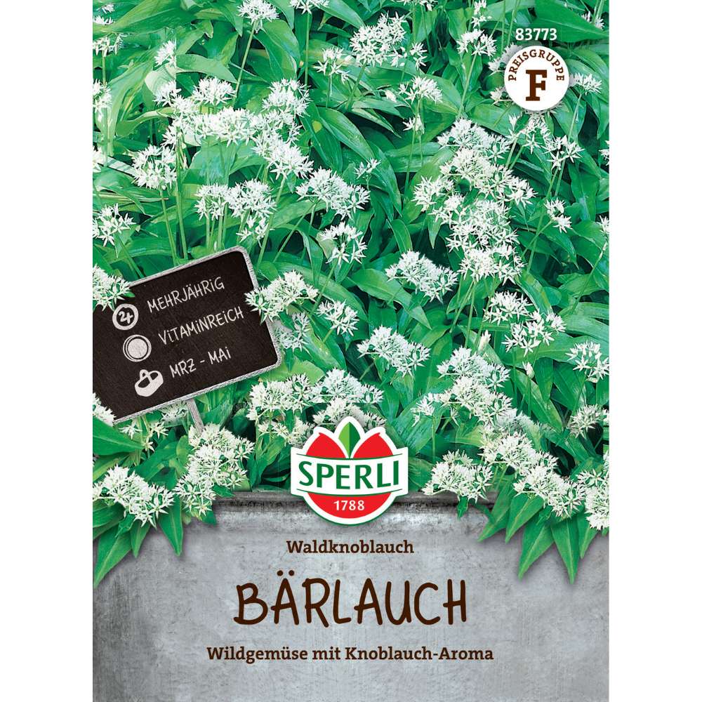 Seminte leurda – aroma de usturoi, ideala pentru preparate de primavara