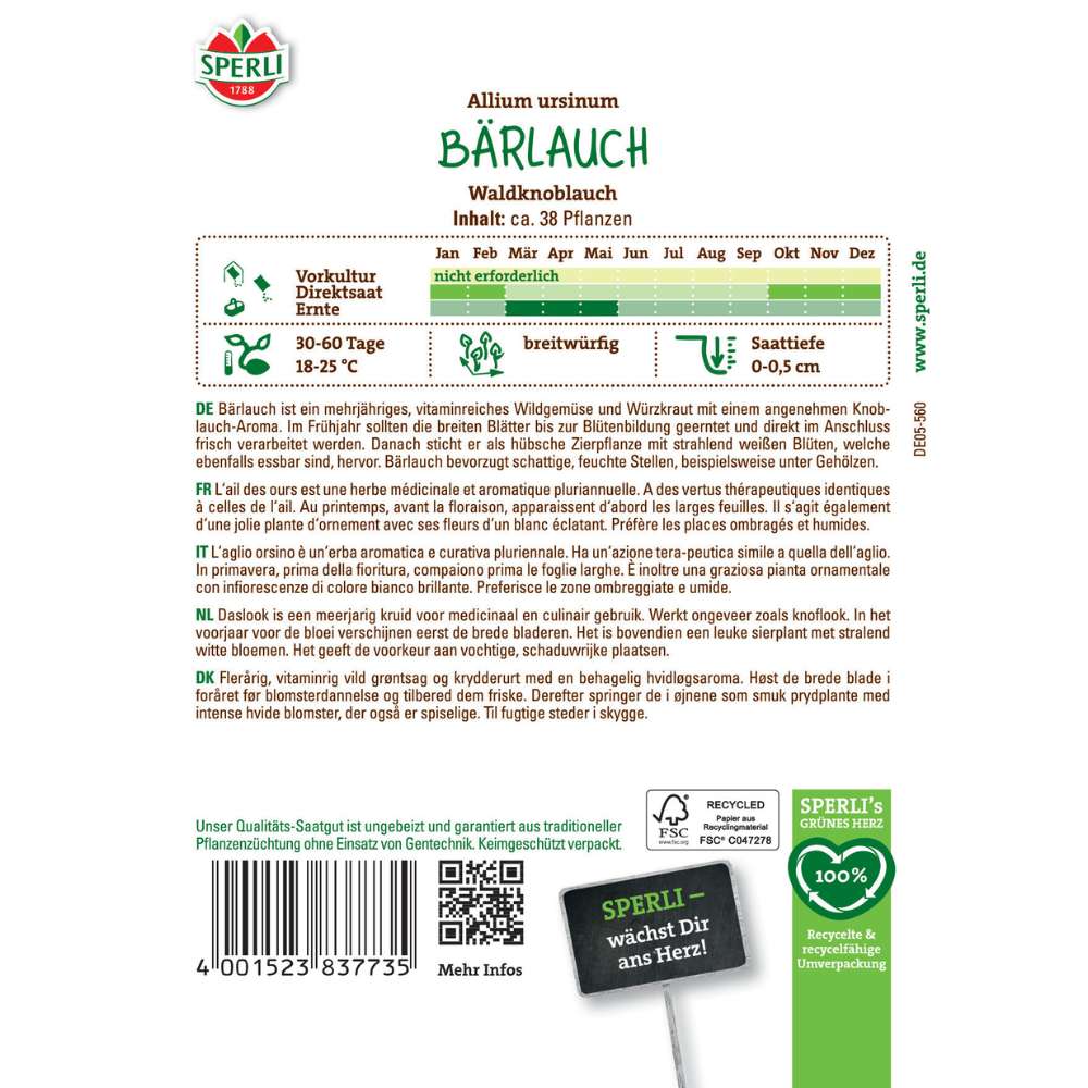 Seminte leurda – aroma de usturoi, ideala pentru preparate de primavara