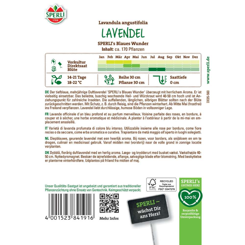 Seminte lavanda SPERLI Blaues Wunder – flori albastre parfumate