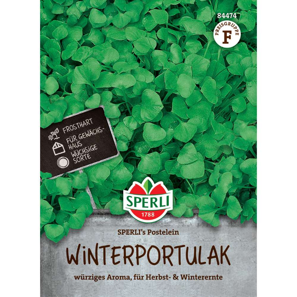 Seminte portulaca de iarna SPERLI Postelein – pentru salate de sezon rece