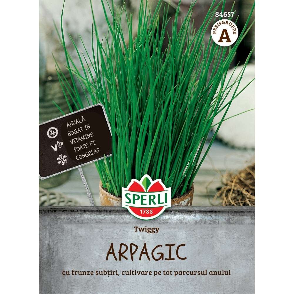 Seminte arpagic Twiggy – planta compacta pentru ghivece