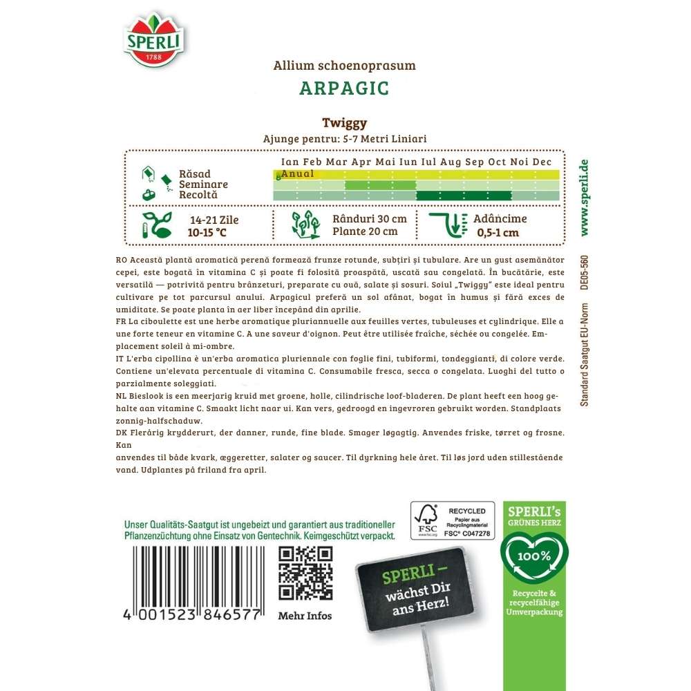 Seminte arpagic Twiggy – planta compacta pentru ghivece