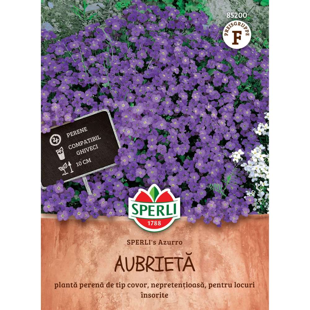 Seminte perene SPERLI Azurro – perne albastre pentru stancarii