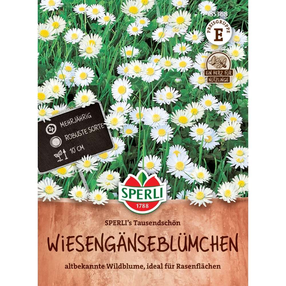 Seminte margarete SPERLI Tausendschon – amestec multicolor de efect