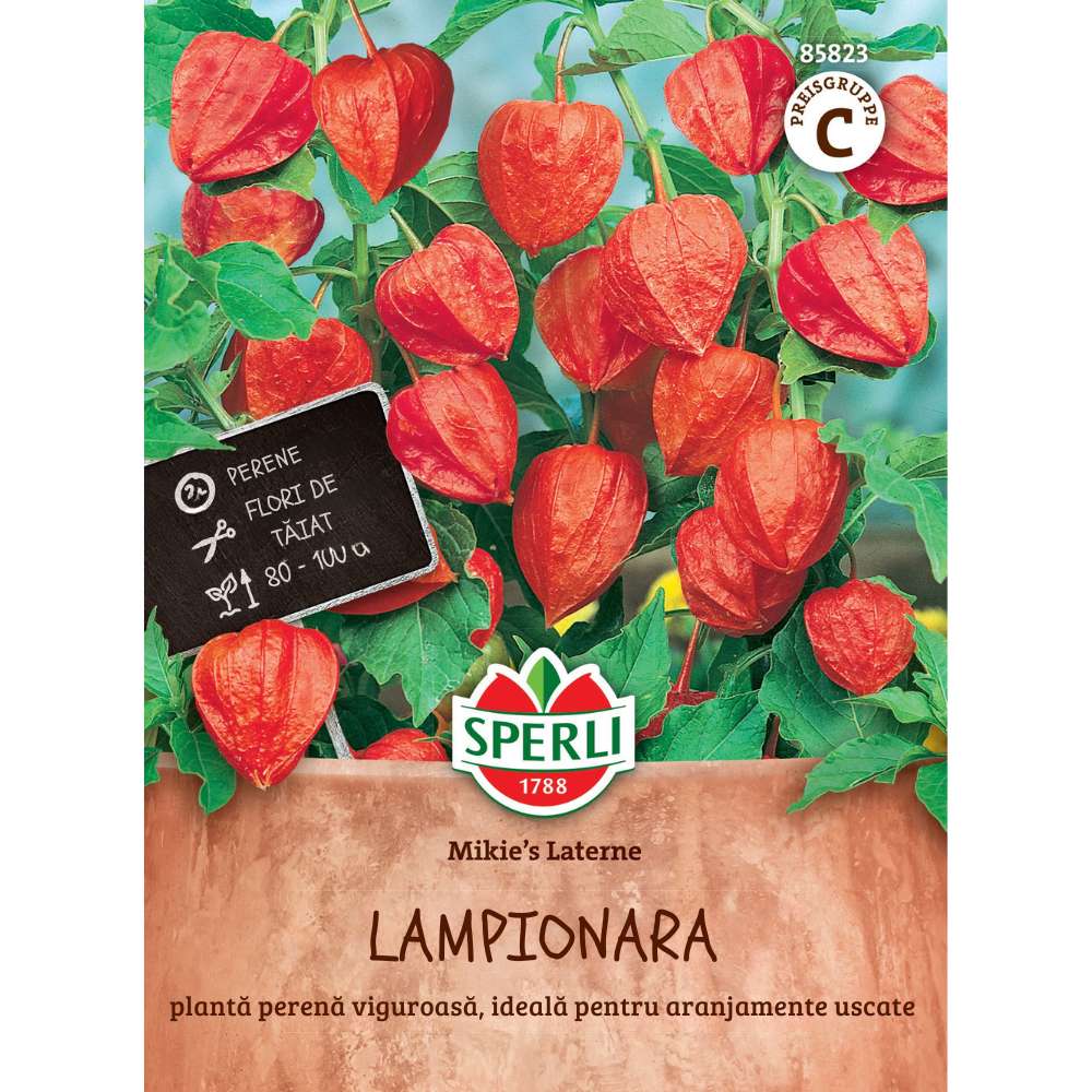 Seminte floare lampion Mikie's Laterne – decorativa si de efect