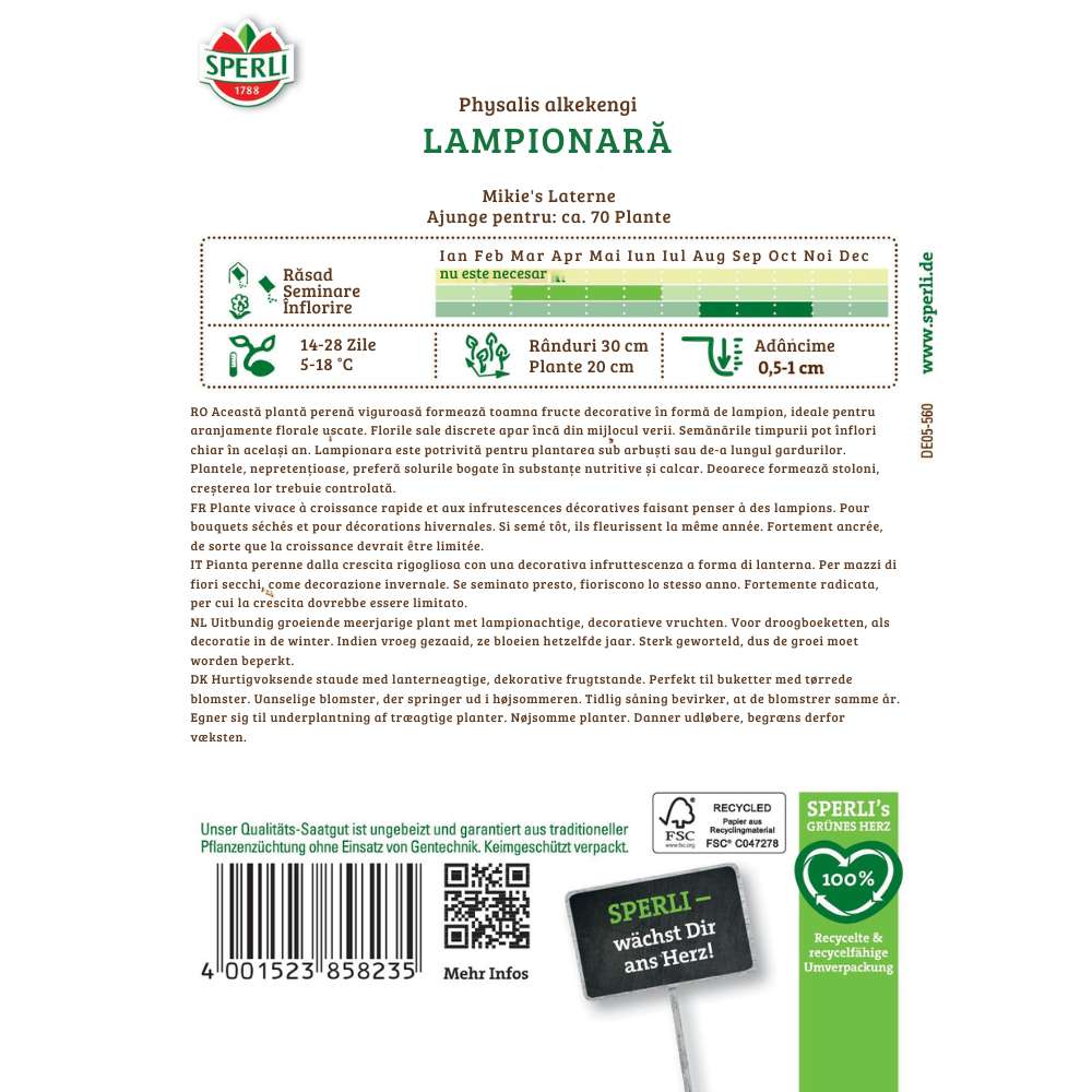 Seminte floare lampion Mikie's Laterne – decorativa si de efect