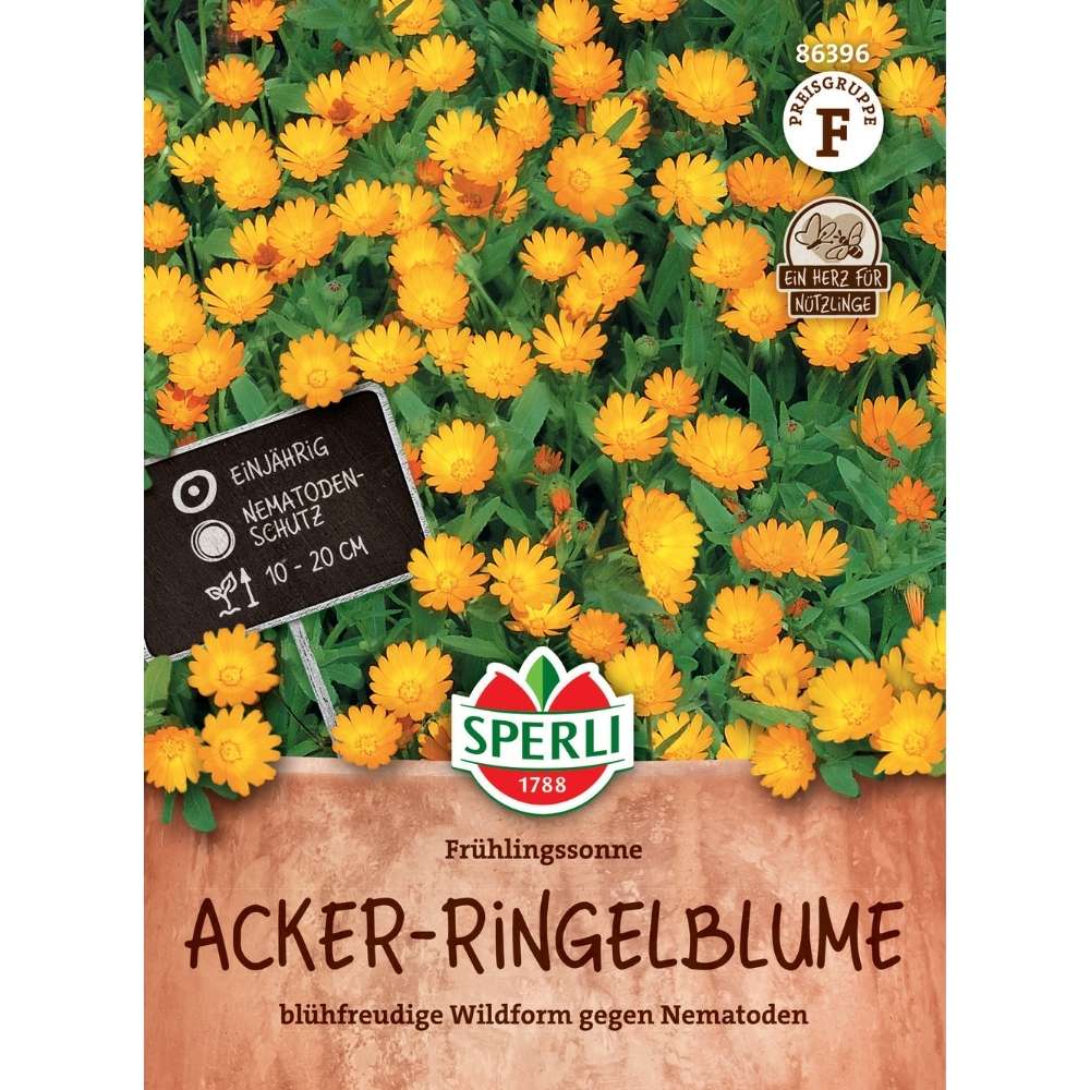 Seminte galbenele Fruehlingssonne – inflorire timpurie si decorativa