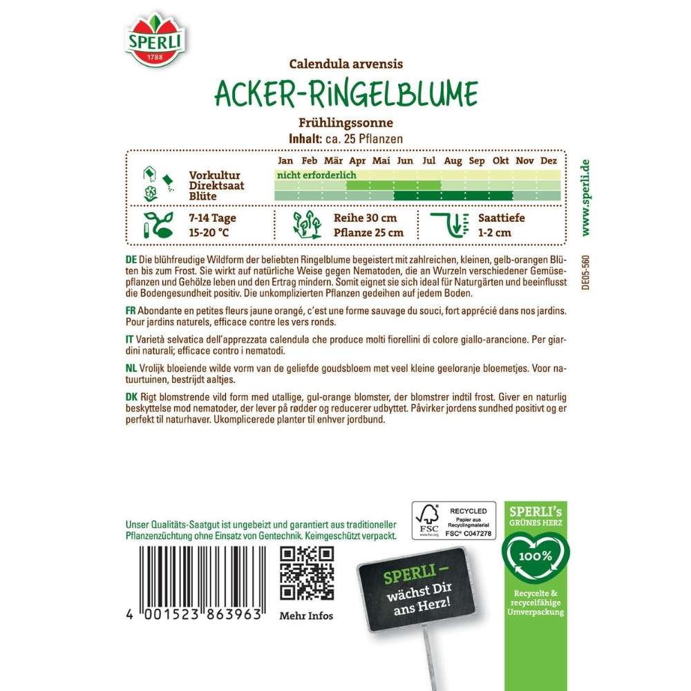 Seminte galbenele Fruehlingssonne – inflorire timpurie si decorativa