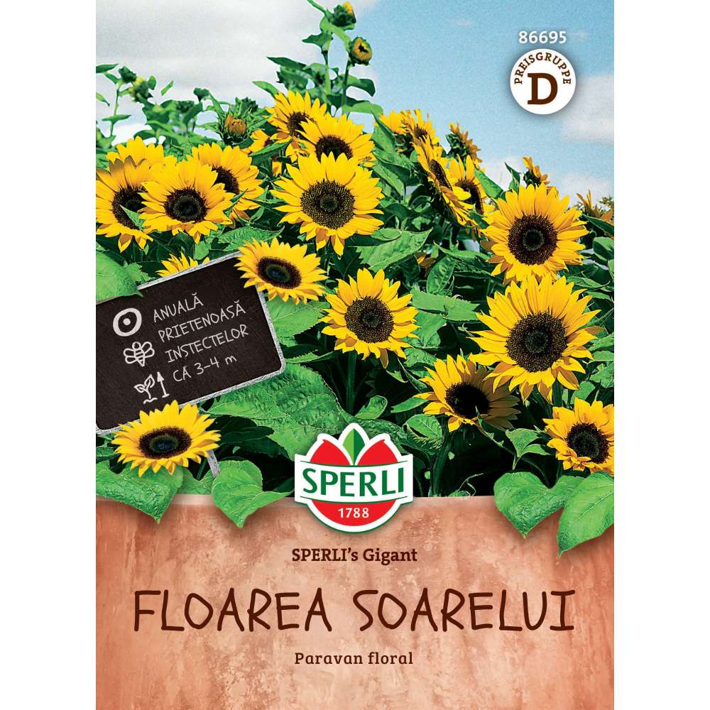 Seminte floarea soarelui gigant SPERLI – plante inalte si decorative
