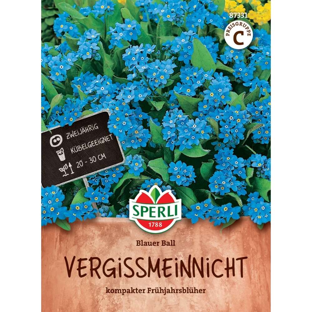 Seminte nu-ma-uita Blauer Ball – flori albastre, delicate