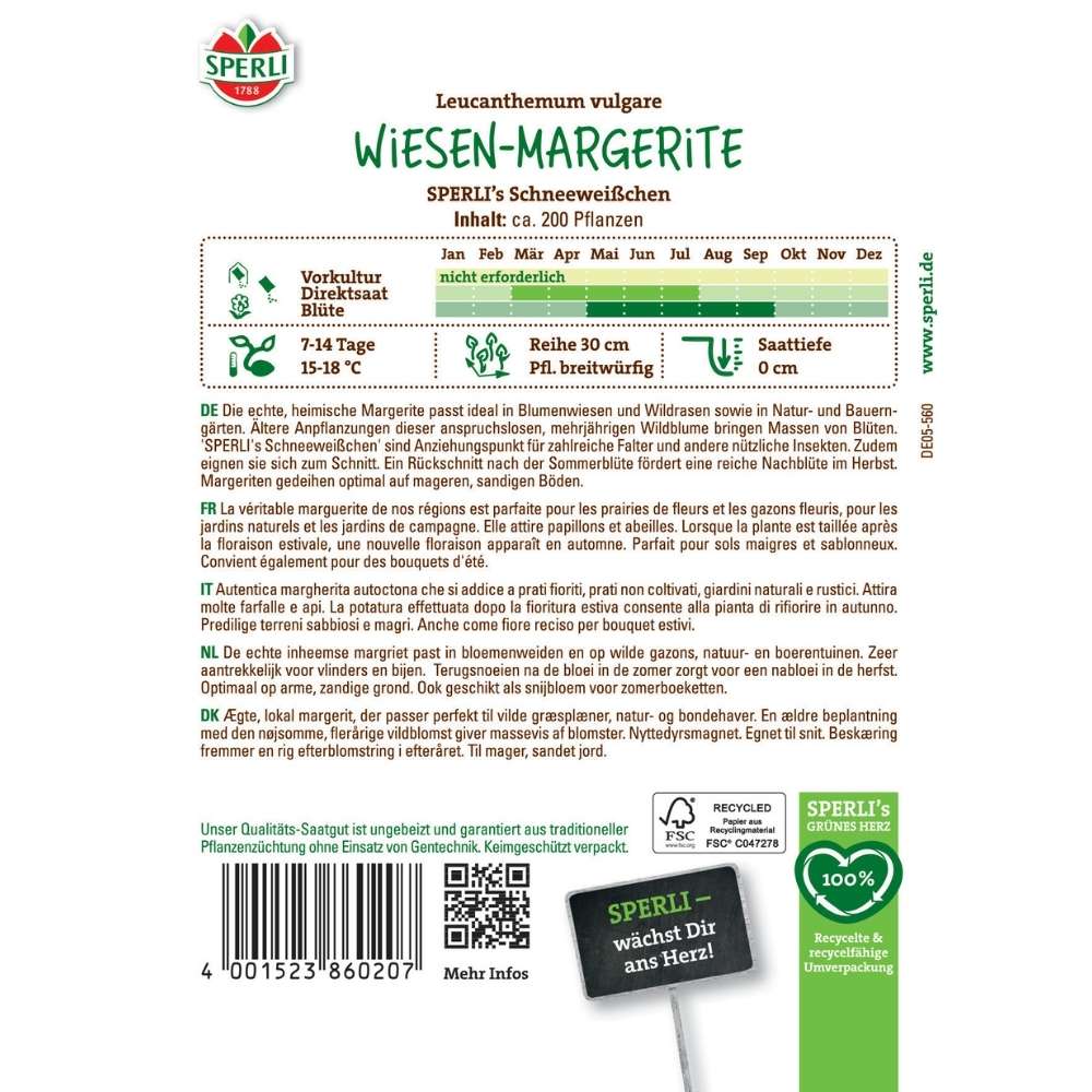 Seminte margarete de camp SPERLI Schneeweisschen – flori albe delicate