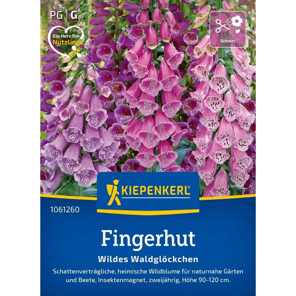 Seminte de degetar salbatic – aspect natural pentru zone umbrite, ajunge pentru 600 Plante