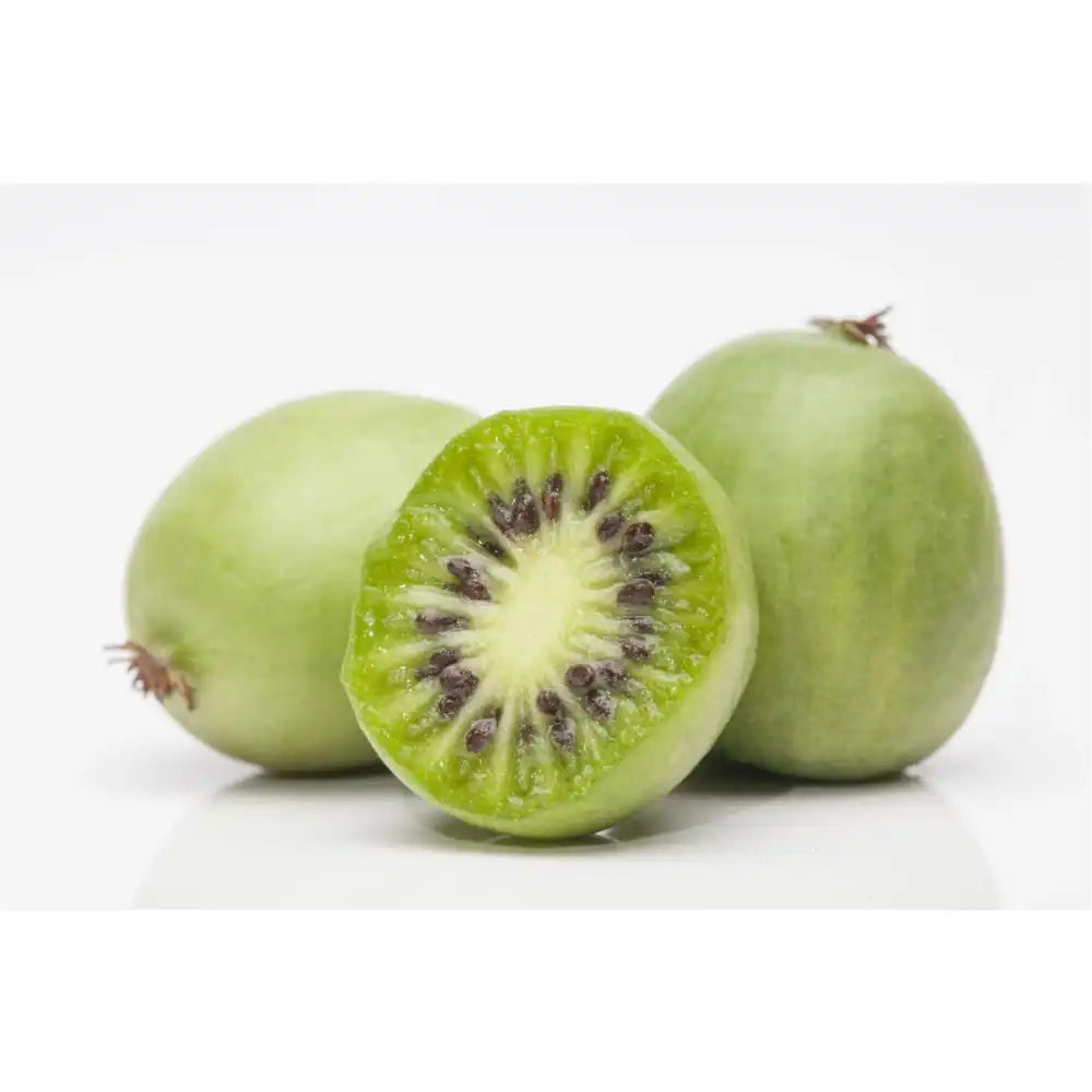 Kiwi de Siberia Weiki (Actinidia arguta), mascul, cu fructe mici dulci, bogate in vitamina C