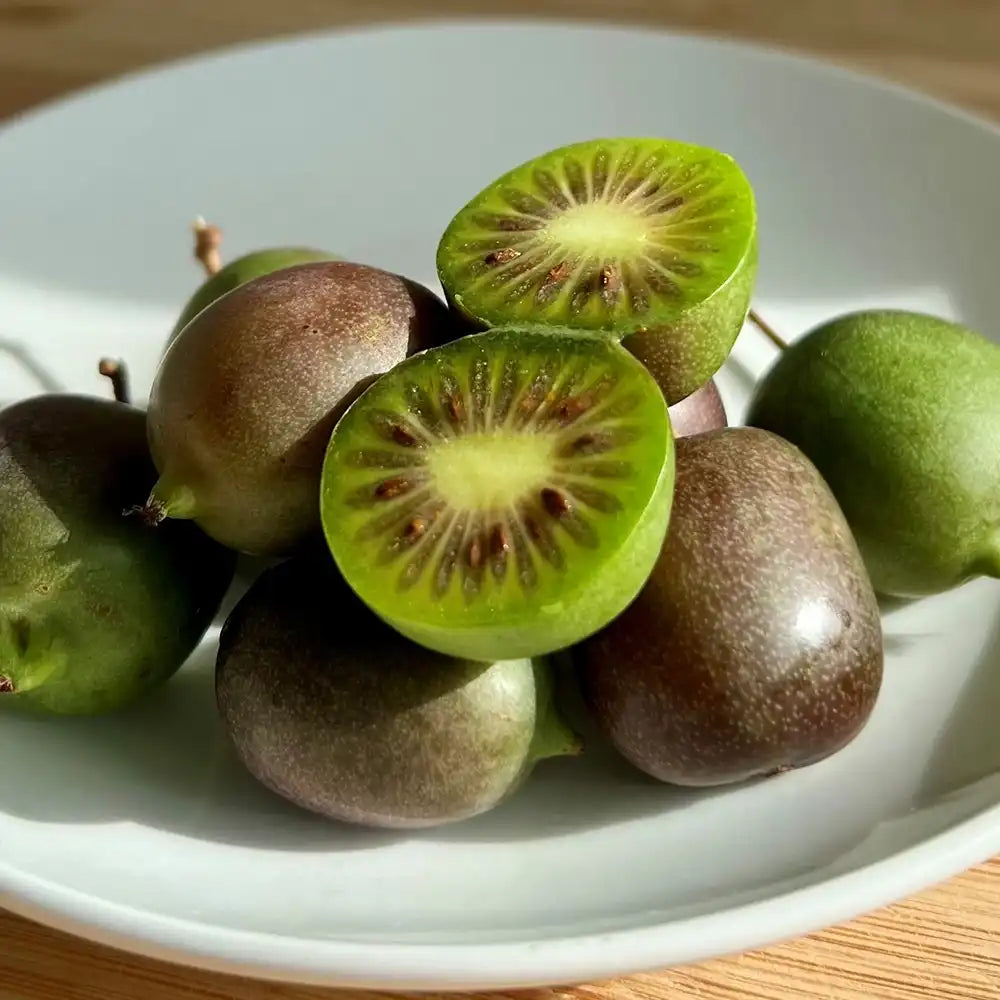Kiwi de Siberia Weiki (Actinidia arguta), mascul, cu fructe mici dulci, bogate in vitamina C