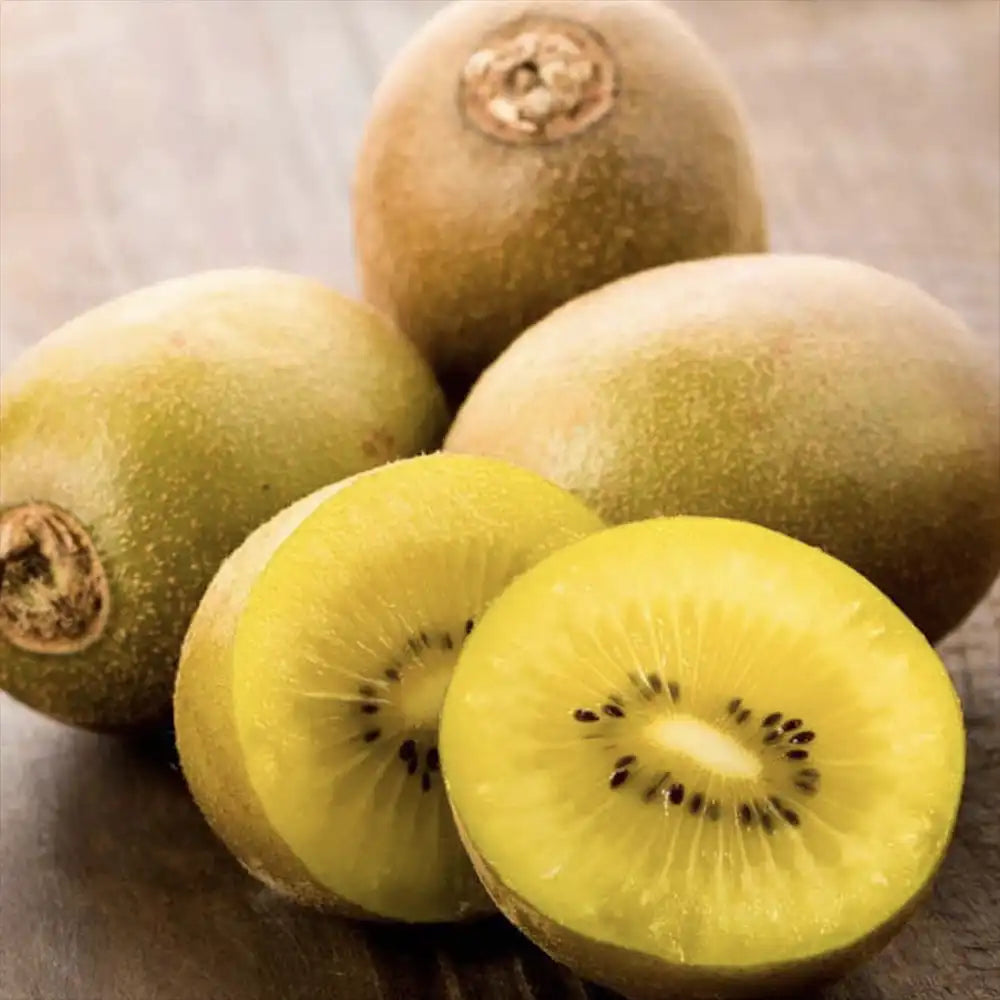 Kiwi de Siberia Goldkiwi (Actinidia arguta), femela, cu fructe dulci aurii, bogate in vitamina C