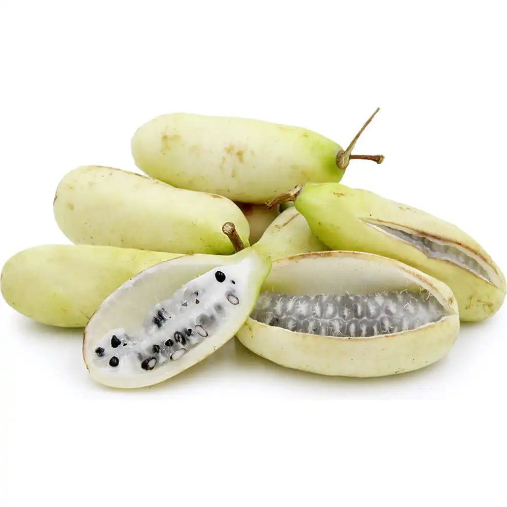 Vita de ciocolata Cream Form (Akebia quinata), cu flori parfumate crem-albicioase, si fructele exotice, cataratoare