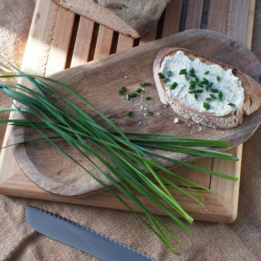 Usturoi chinezesc (Allium tuberosum), planta aromatica perena, frunze comestibile si flori decorative