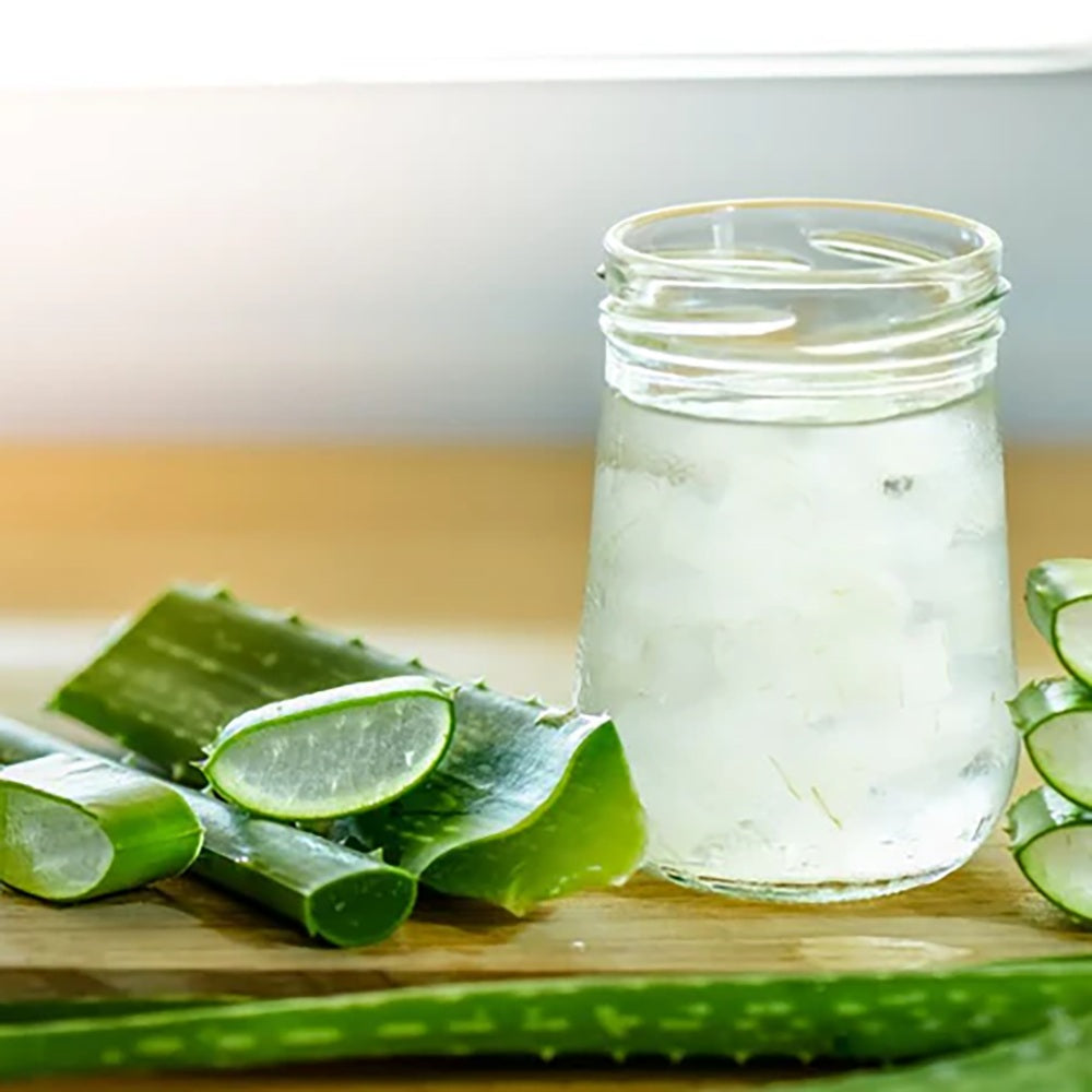 Aloe Vera Planta in Ghiveci – Gel Natural pentru Piele, Ingrijire si Vindecare - 80 cm