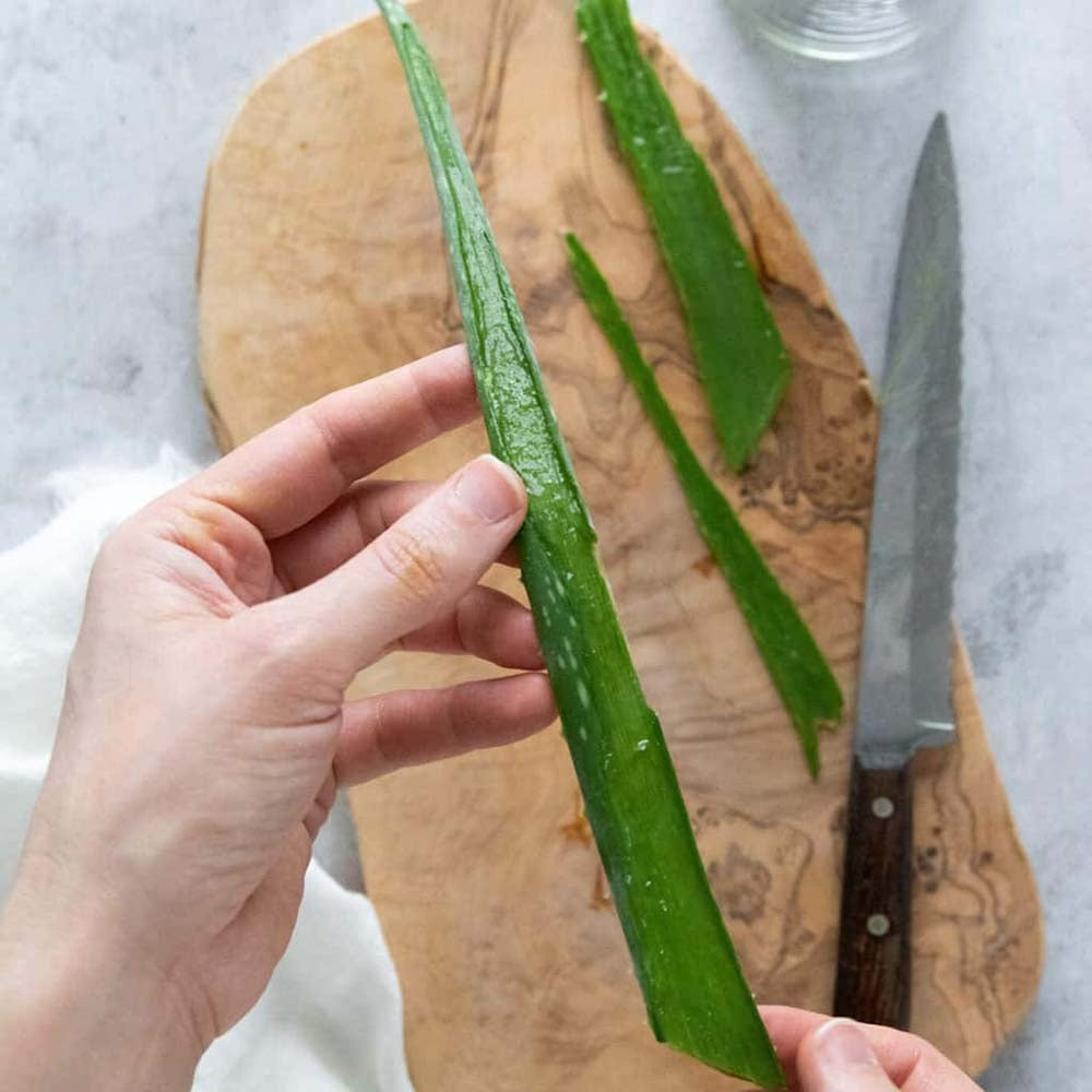 Aloe Vera Planta in Ghiveci, 15-25 cm, Gel Natural pentru Piele, Ingrijire si Vindecare