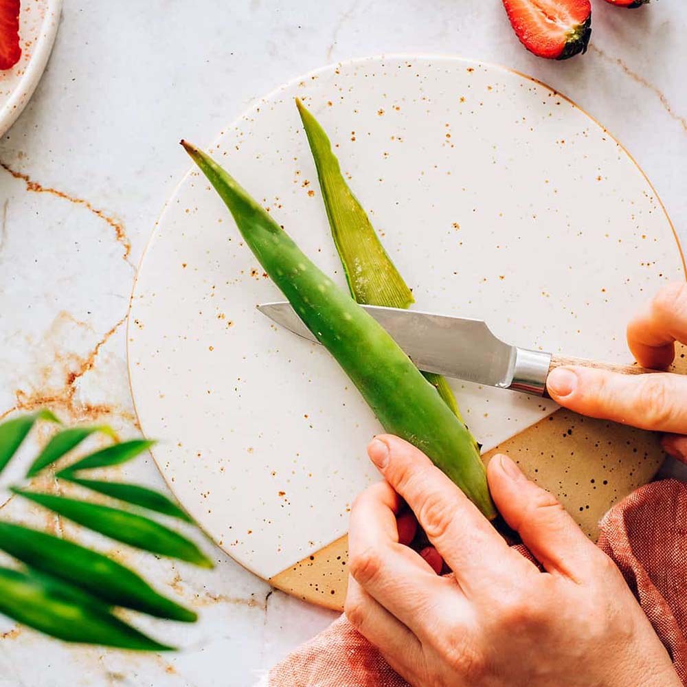 Aloe Vera Planta in Ghiveci – Gel Natural pentru Piele, Ingrijire si Vindecare - 80 cm