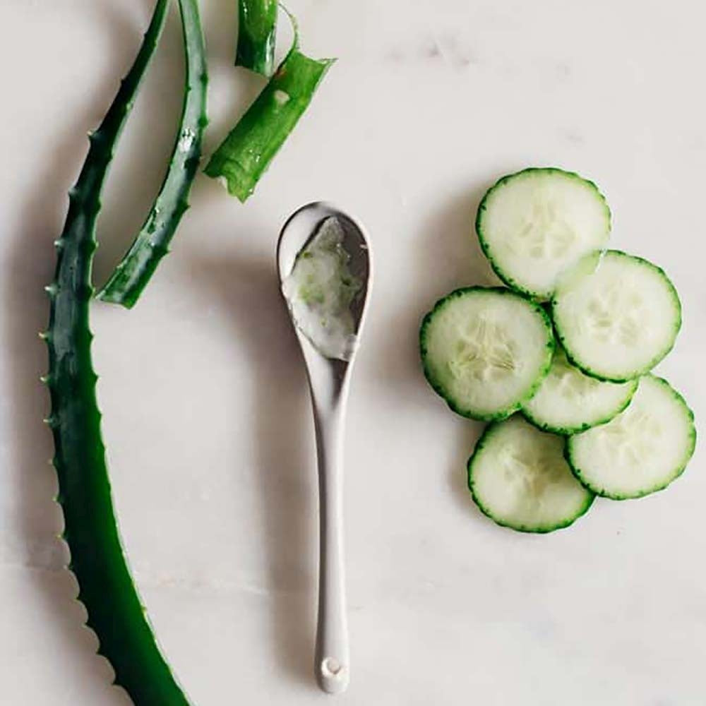 Aloe Vera Planta in Ghiveci – Gel Natural pentru Piele, Ingrijire si Vindecare - 30 cm
