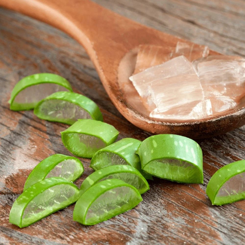 Aloe Vera Planta in Ghiveci – Gel Natural pentru Piele, Ingrijire si Vindecare - 30 cm