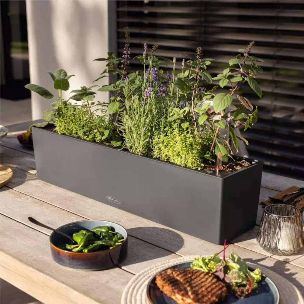 Ghiveci Auto-Irigant Lechuza Balconera Color 80, 12 l, negru mat, sistem de autoirigare, insert detasabil, strat de drenaj