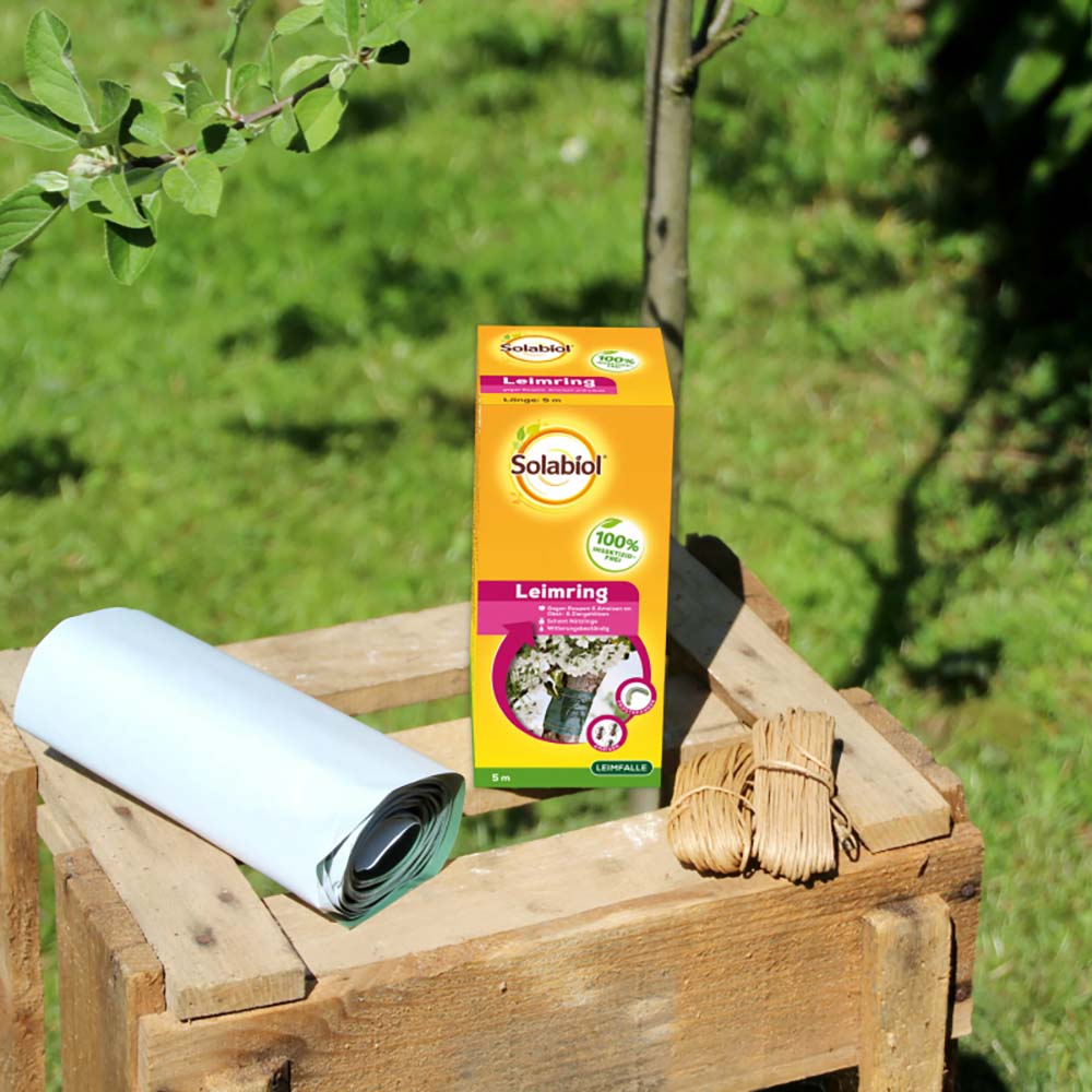 Banda Adeziva pentru Combaterea Daunatorilor la Pomi, 5m, SOLABIOL