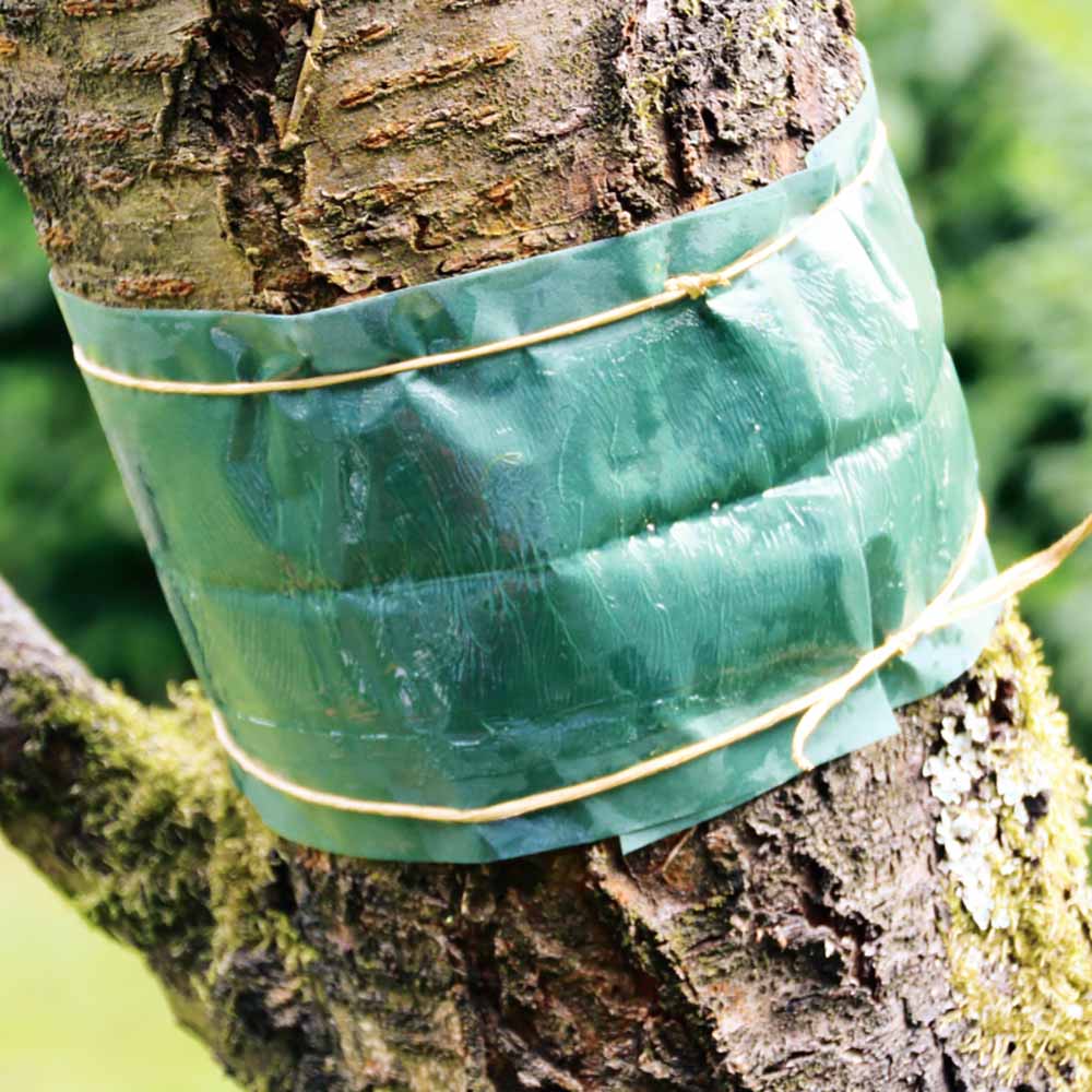 Banda Adeziva pentru Combaterea Daunatorilor la Pomi, 5m, SOLABIOL