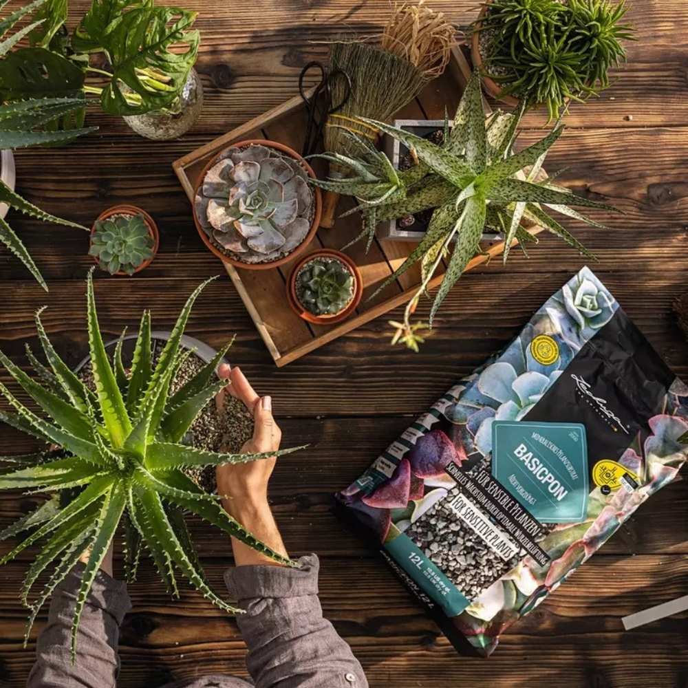 Substrat Mineral LECHUZA Basicpon 6 l, pentru plante sensibile, 100% fara turba, cu ingrediente naturale