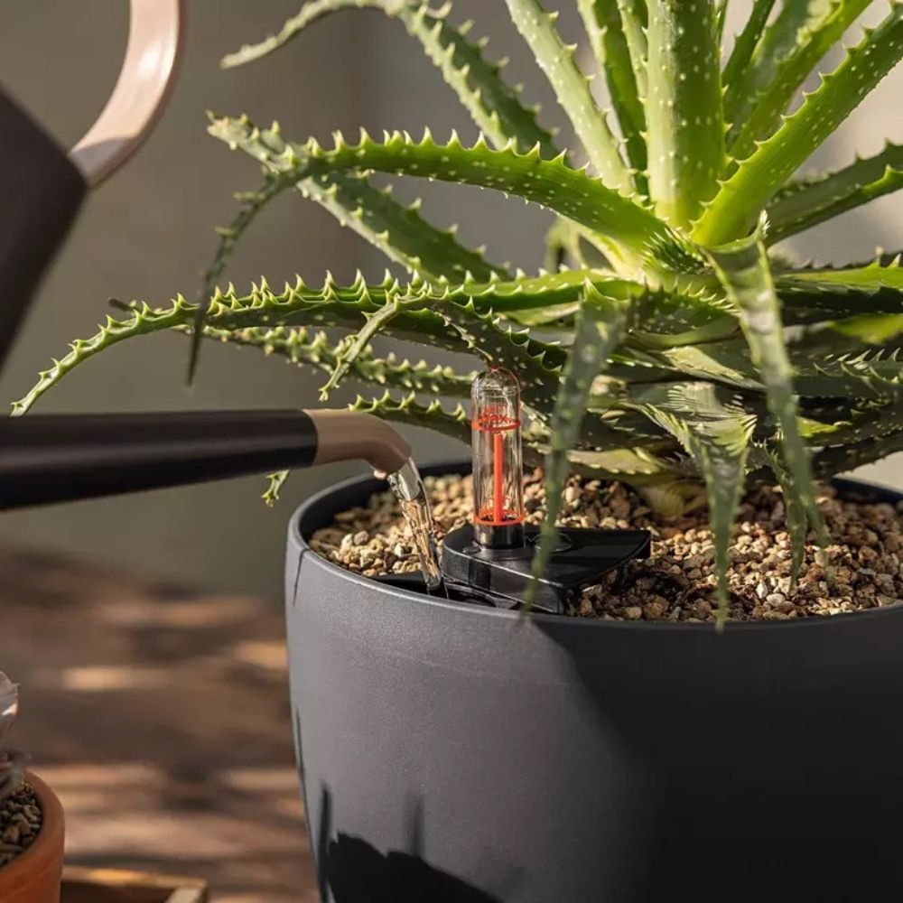 Stropitoare Lechuza YULA, 1,7 l capacitate, Negru/Bej, Protectie anti-picurare, Plastic de inalta calitate