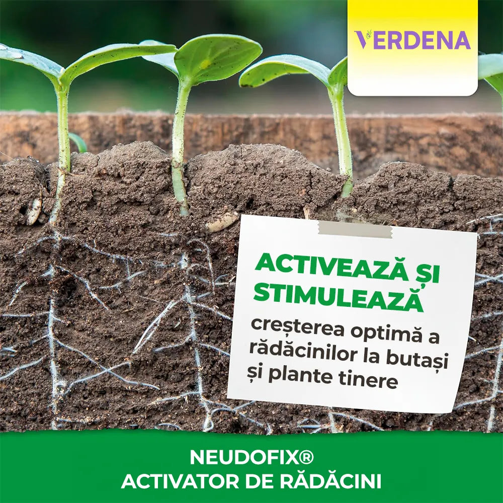 Biostimulator de inradacinare Neudorff, activator natural radacini, pentru butasi si plante tinere - 40 g