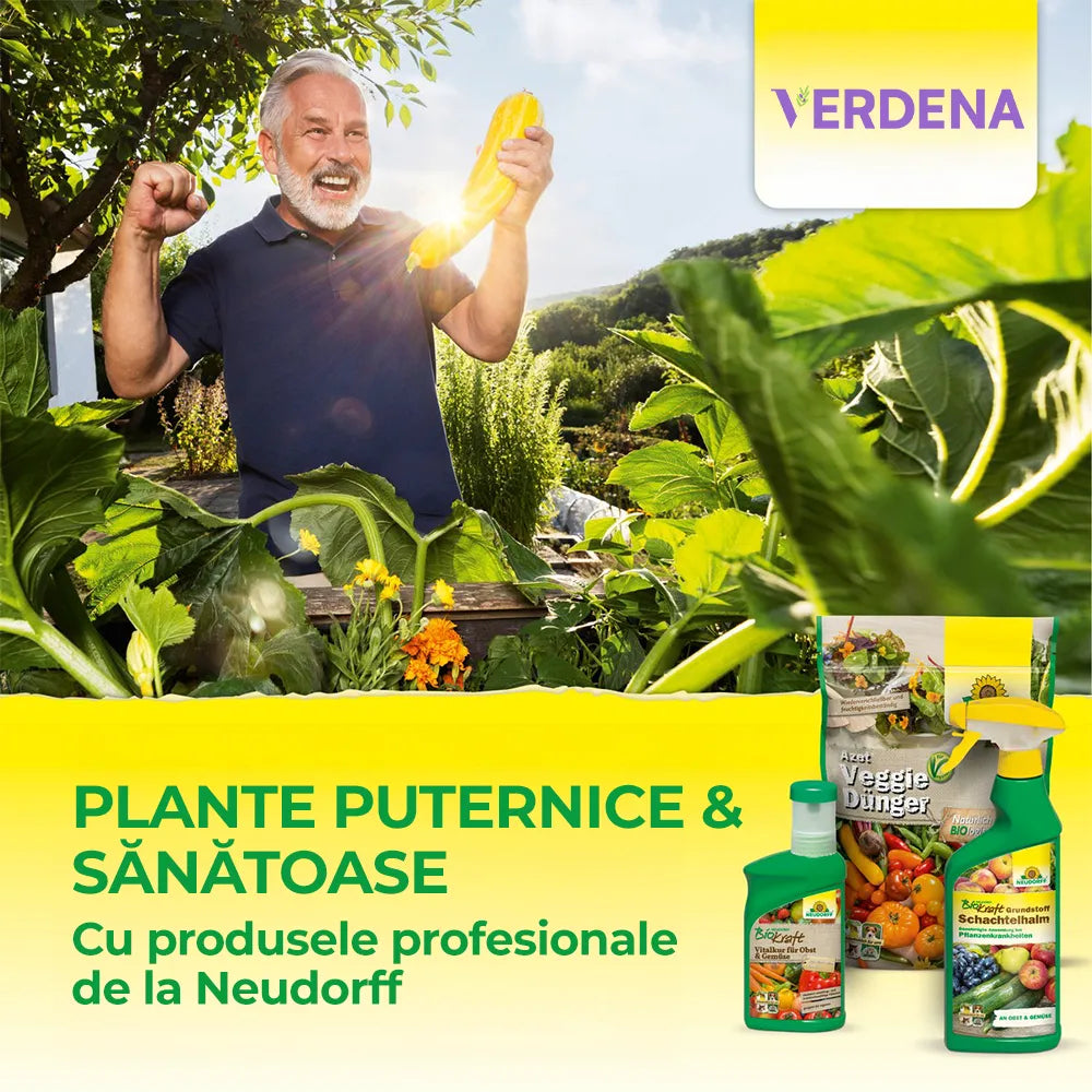 Biostimulator de inradacinare Neudorff, activator natural radacini, pentru butasi si plante tinere - 40 g