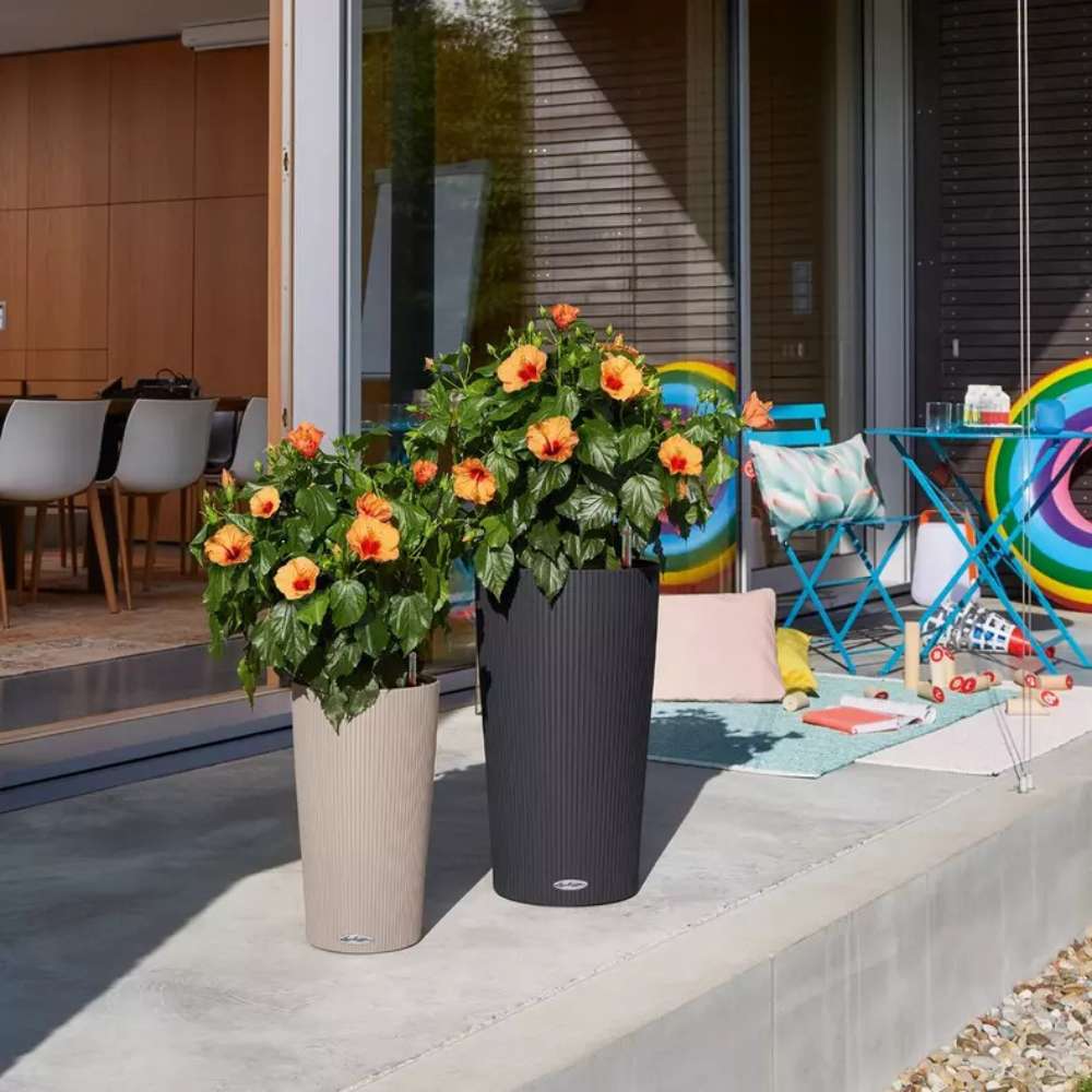 Ghiveci Auto-Irigant Lechuza Cilindro Color 23, 5.5 l, bej mat, sistem de autoirigare, insert detasabil, strat de drenaj