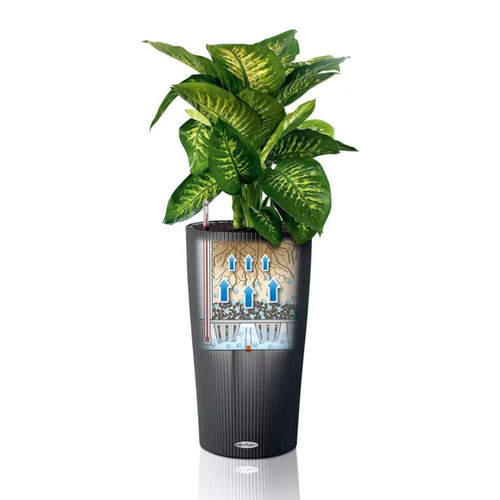 Ghiveci Auto-Irigant Lechuza Cilindro Color 23, 5.5 l, bej mat, sistem de autoirigare, insert detasabil, strat de drenaj